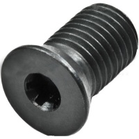 1182 Shim Screw M8x1 - 13.5mm long - Torx 20