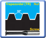 Trapezoidal Single Tooth Thread Mills for General Use Internal 30