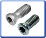 Torx Screws