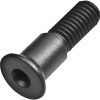 1950 Insert Screw M5x0.8 - 19mm long - 2.5mm Allen